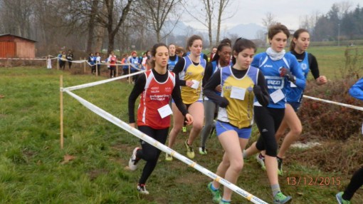 12339076_983303381736184_3429802288174973426_o