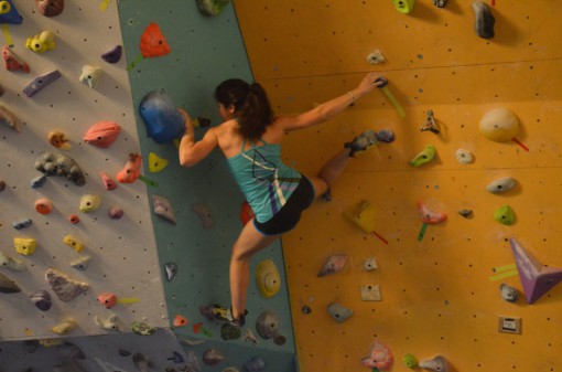 Alice Tavola (Ragni)