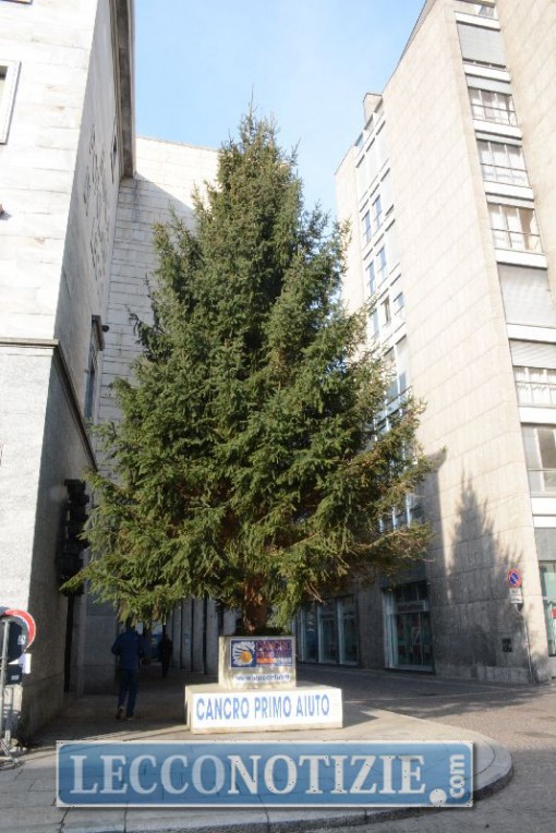 albero natale (2)