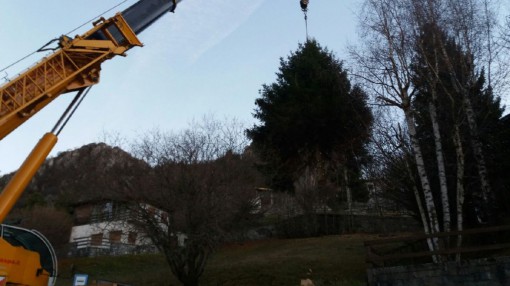 albero natale ballabio (3)