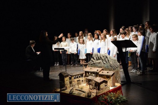 benemerenze 2015 (10)