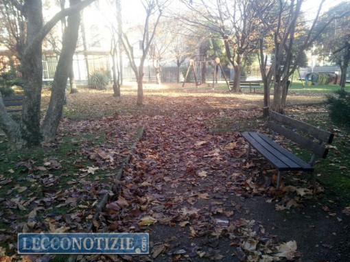 parco belgiojoso (9)