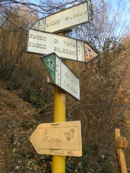 presepe_famiglie-Balza-Greppi_Zucco-Sileggio (1)