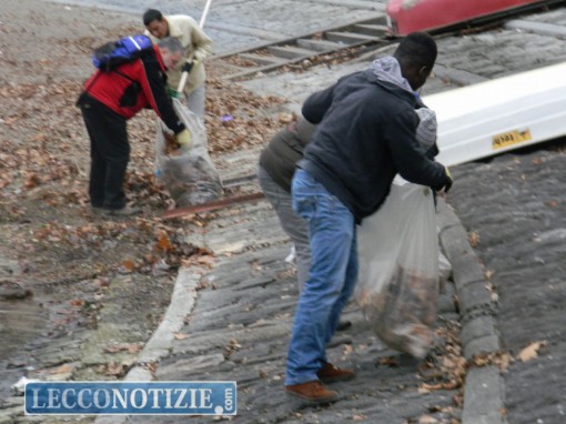 pulizie lungolago profughi (10)