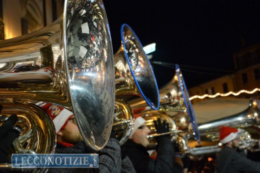 tuba sotto albero 2015 (10)