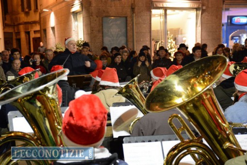 tuba sotto albero 2015 (12)