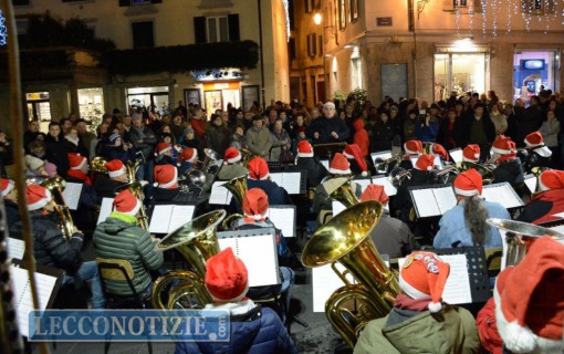 tuba sotto albero 2015 (1)