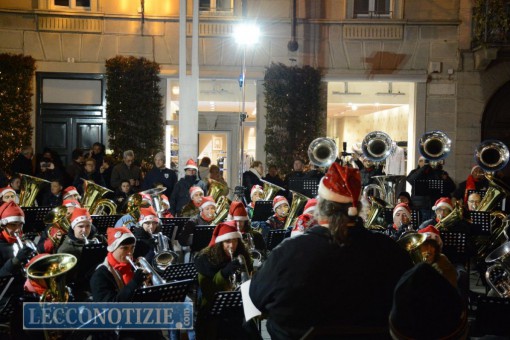 tuba sotto albero 2015 (6)