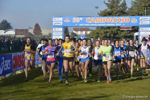 12418834_10207287033550370_5561160518257603055_o