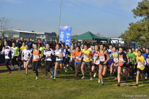 12489423_10207286894666898_4106417552432075674_o