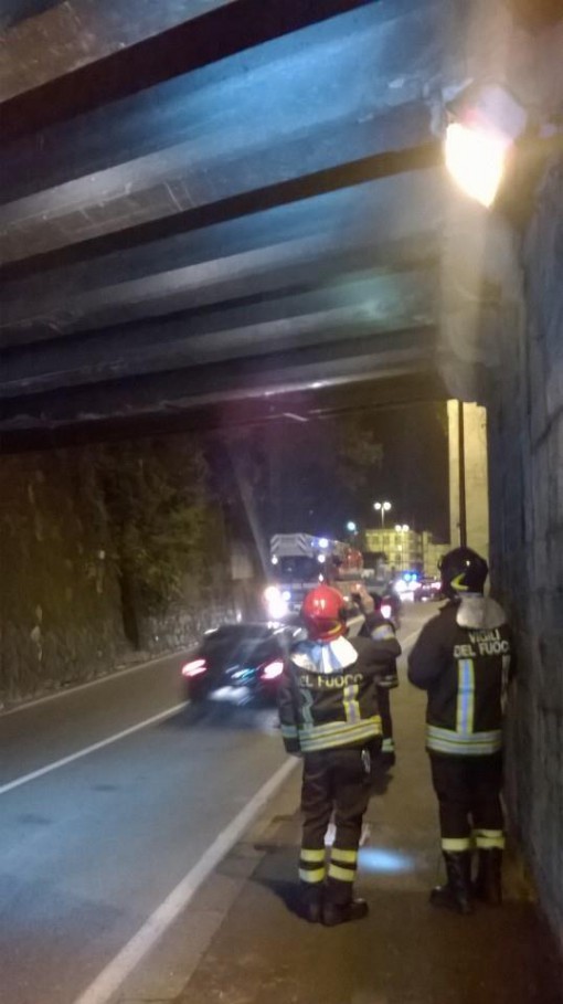 12540935_10153901113507953_4887882893806805358_n