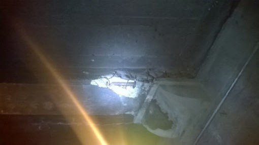 12573127_10153901149427953_410245396093722163_n