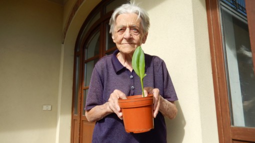 Vittoria Mangili (2)