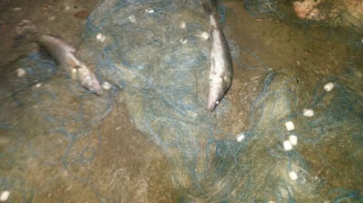 lago-pusiano-sequestro-reti-egirent-3-510x286