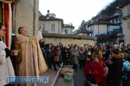 malavedo  - san antonio da abate 2016 (17)