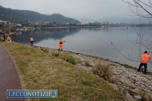 pescate disoccupati puliscono rive lago (1)