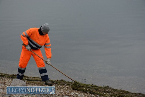 pescate disoccupati puliscono rive lago (4)