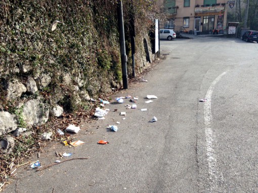 ponte_gallina_spazzatura (3)