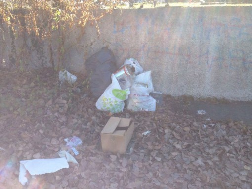 via elettrochi bione  rifiuti (3)