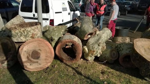 12741995_1534135553551912_7728132515572045360_n