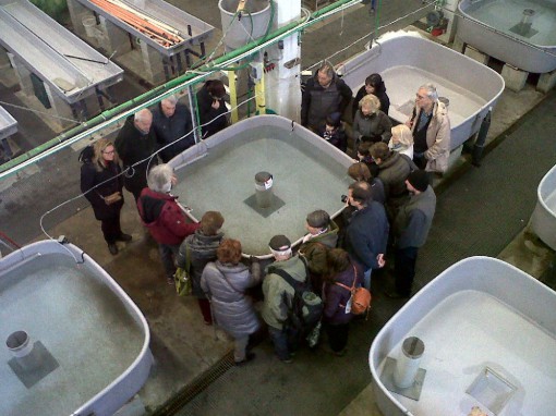 Incubatoio-Fiumelatte_Auser_Spi-Cgil (4)