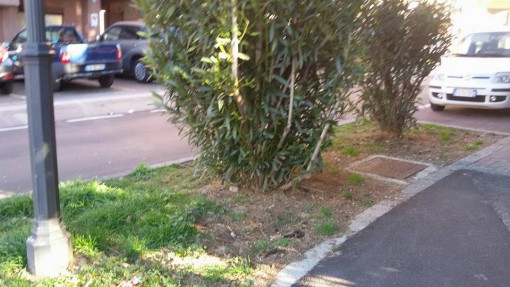 Gesti di inciviltà nel rione di Castello