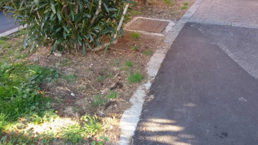 un'aiuola di Castello