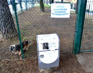 area-cani_Mandello_2016 (9)