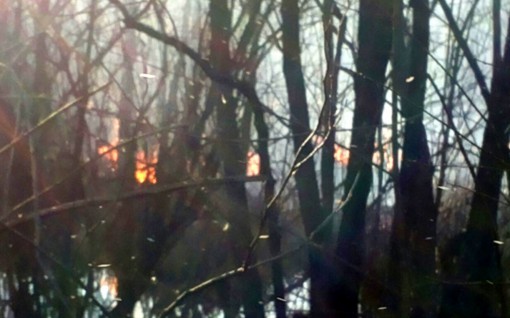 incendio dolzago (2)