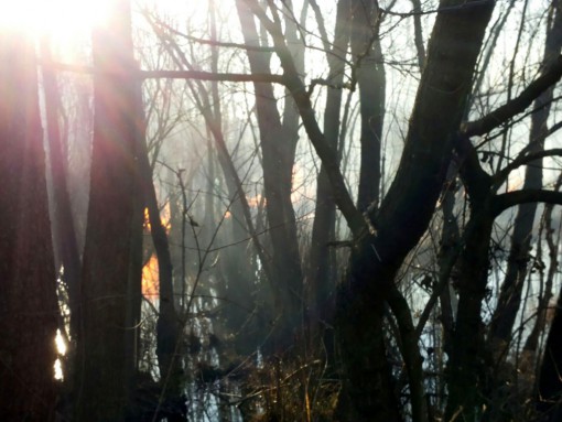 incendio dolzago (3)