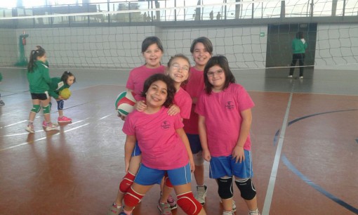 minivolley 21-02 (2)