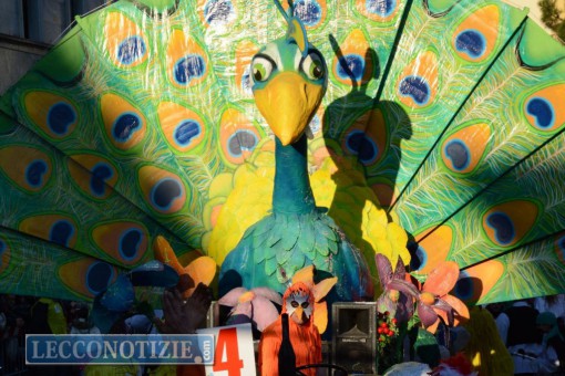 sfilata carnevalone 2016 (30)