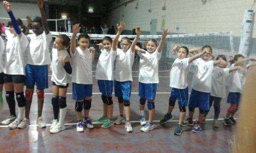 volleyland (5)