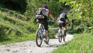 B-8196-bici-mtb-trentino