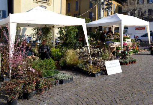 Primavarenna_2016 (8)