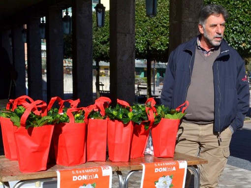 gardenia_ricerca_Mandello_Pro-loco (3)