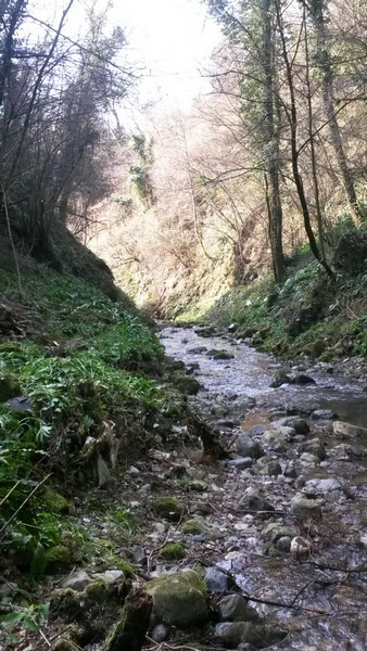 pulizia torrenti_ torre de busi (1)