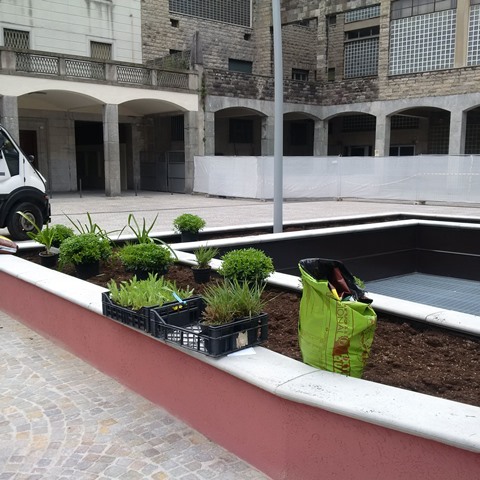 IMG_20160426_124205 (1)