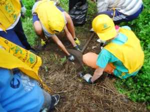 capannori_puliamo_il_mondo_2012_1-jpg