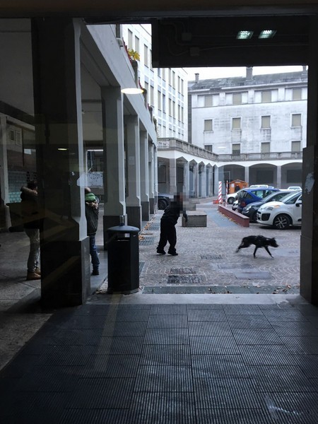 degrado-p-affari-3-3